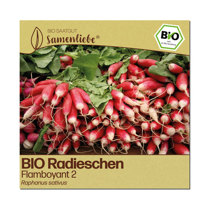BIO Radieschen "Flamboyant 2"