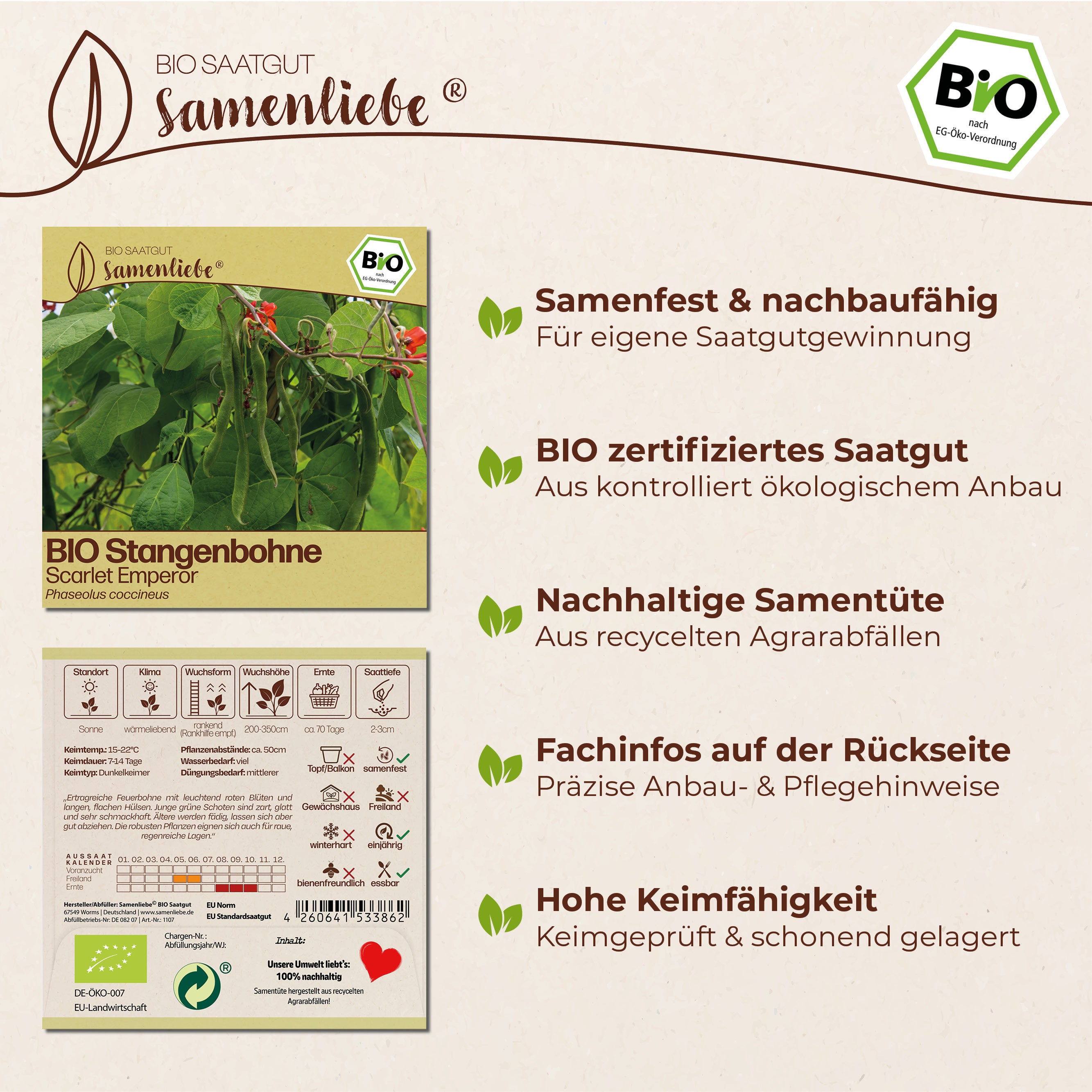 BIO Bohne "Scarlet Emperor"