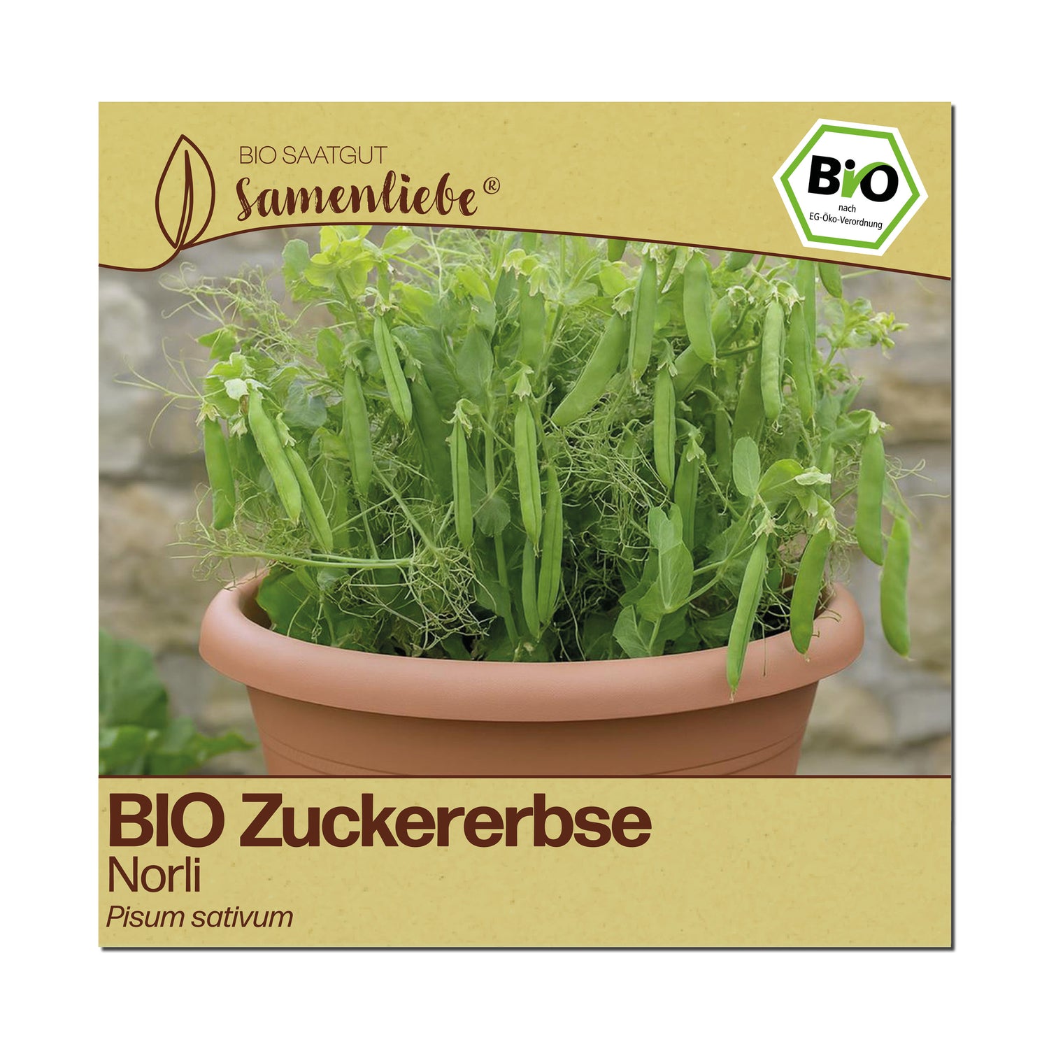 BIO Zuckerebse "Norli"