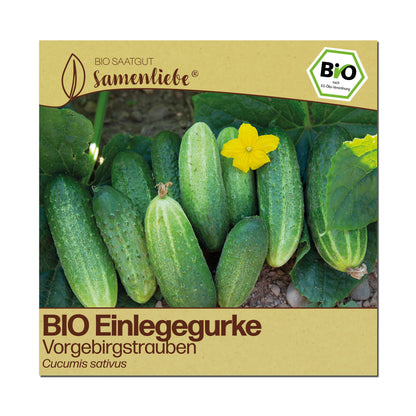 BIO Gurke "Vorgebirgstrauben"