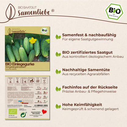 BIO Gurke "Vorgebirgstrauben"