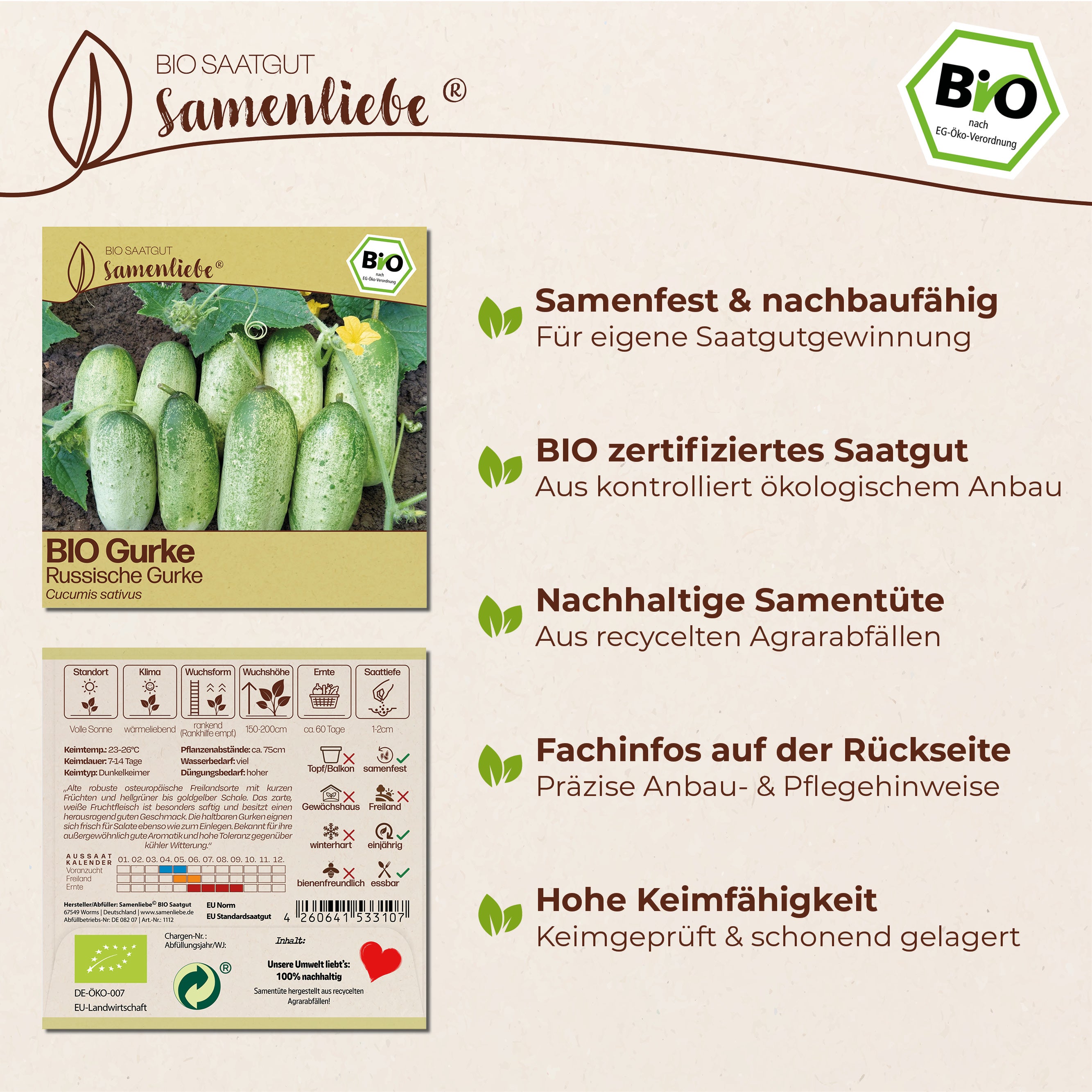 BIO Gurke "Russische Gurke"