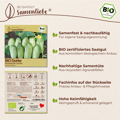 BIO Gurke "Russische Gurke"