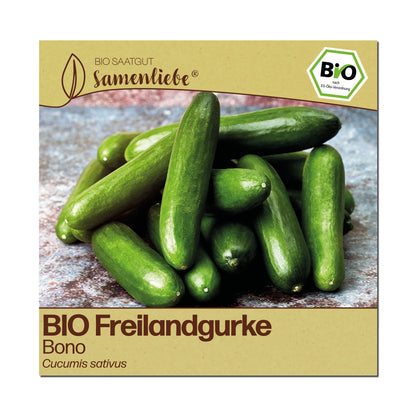 BIO Gurke "Bono"