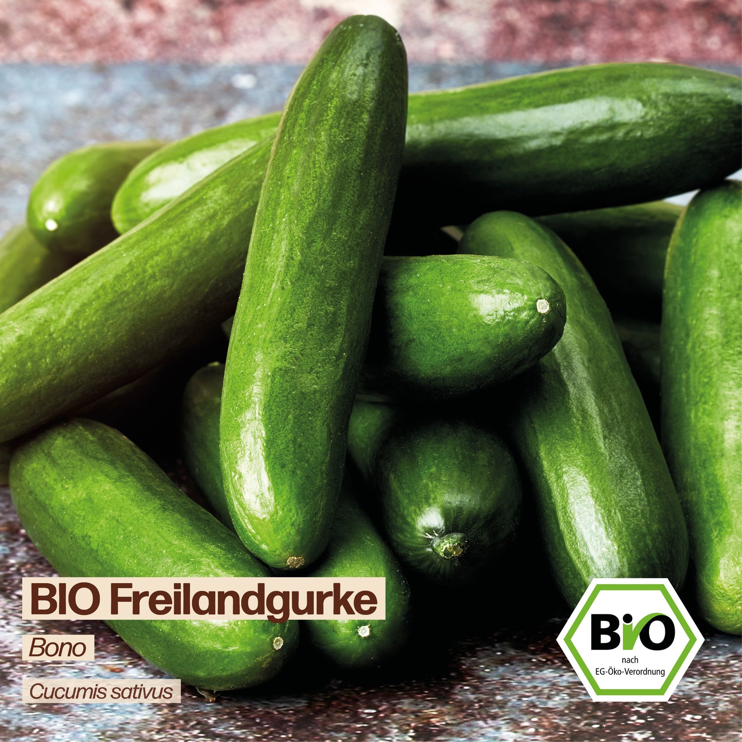 BIO Gurke "Bono"