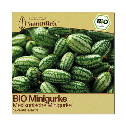 BIO Gurke "Mexikanische Minigurke"