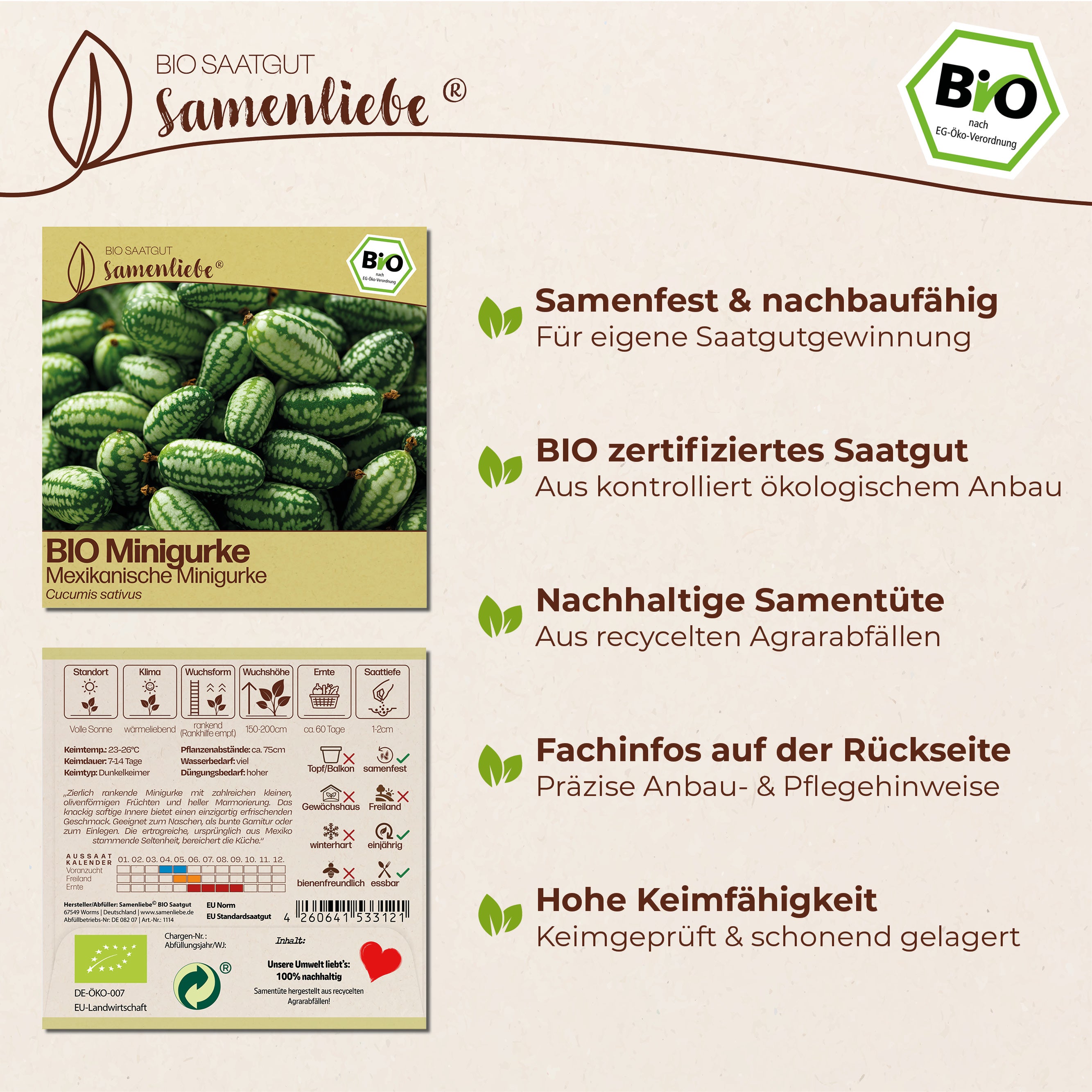 BIO Gurke "Mexikanische Minigurke"