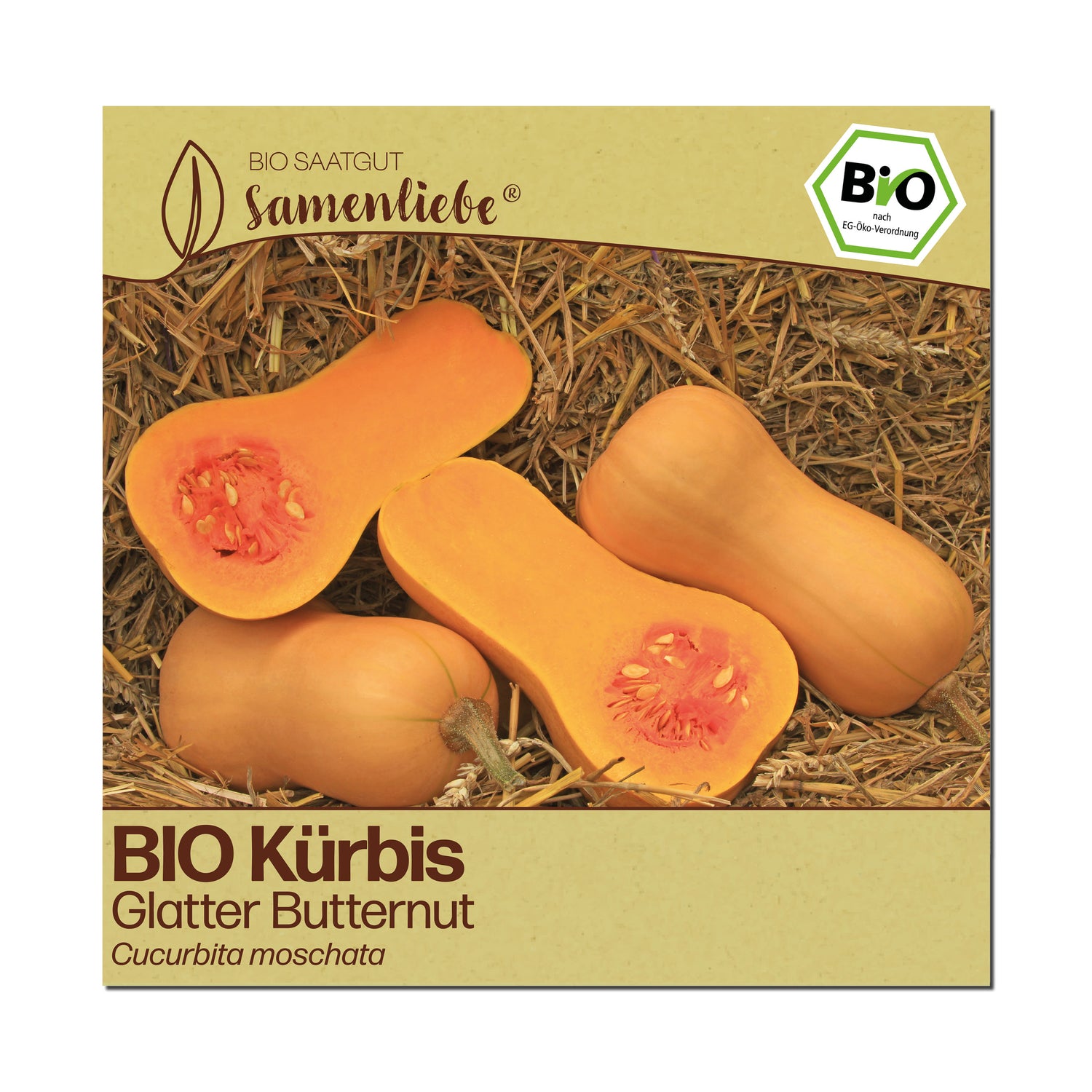 BIO Kürbis "Glatter Butternut"
