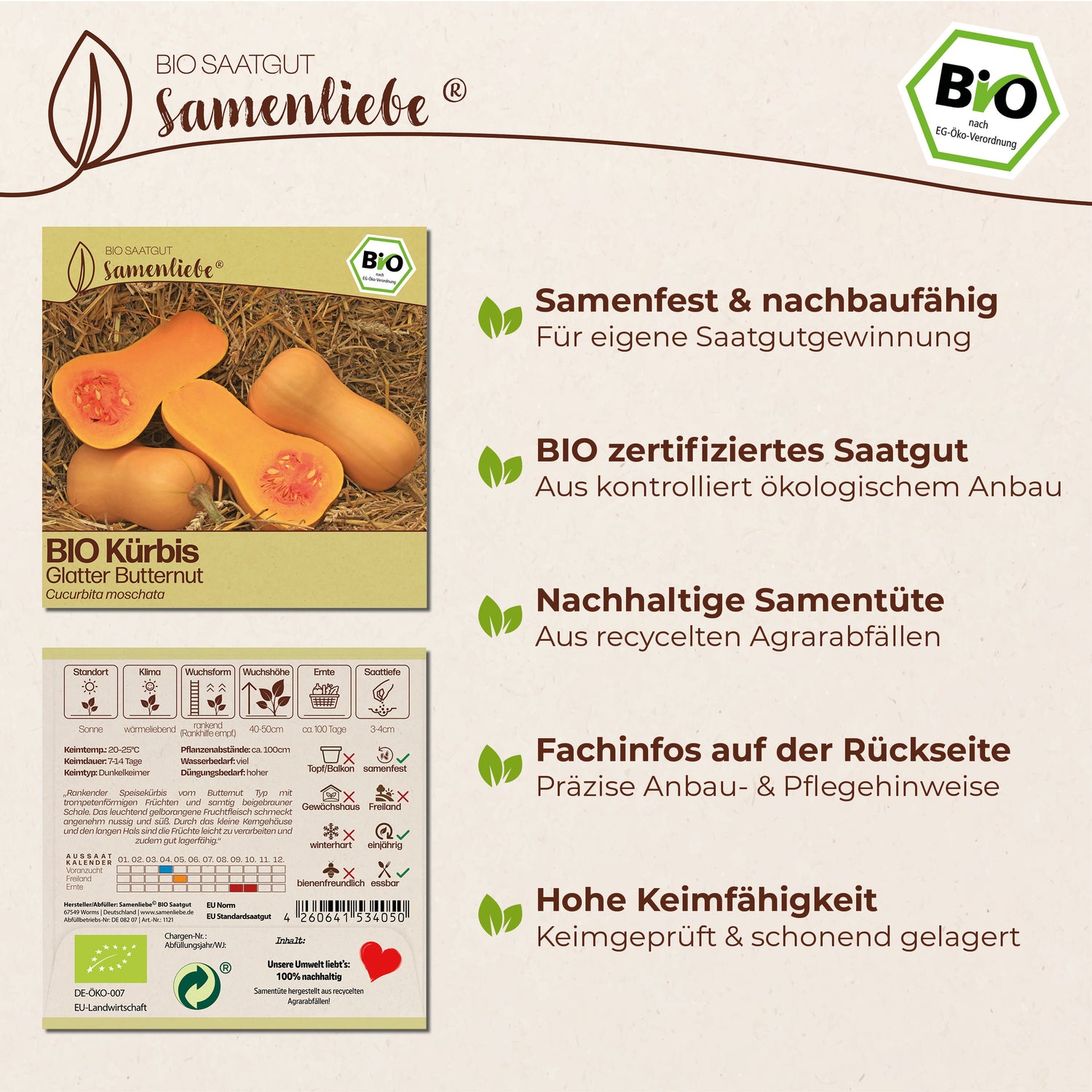 BIO Kürbis "Glatter Butternut"