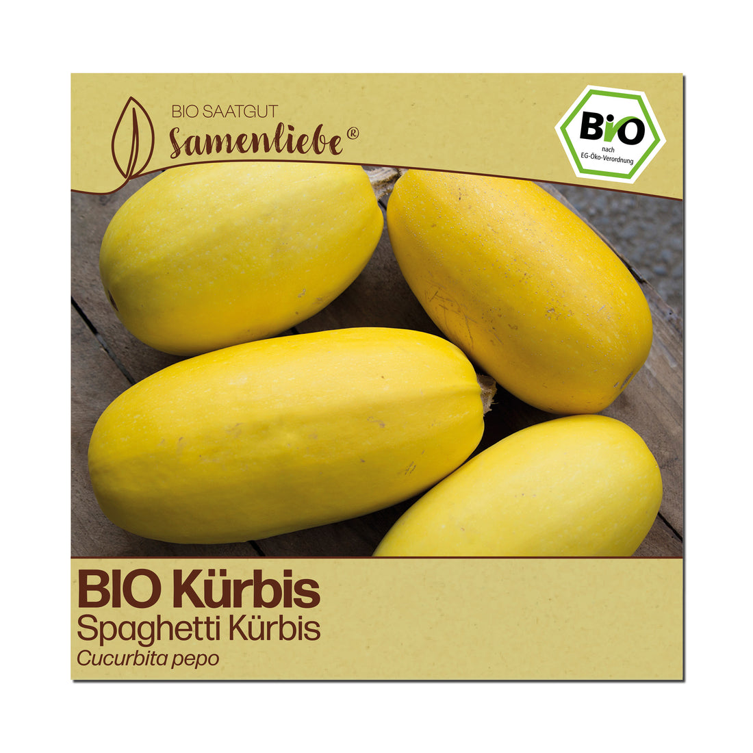 BIO Kürbis "Spaghetti Kürbis"