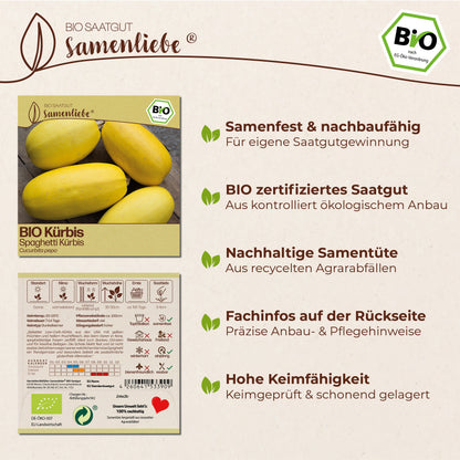 BIO Kürbis "Spaghetti Kürbis"