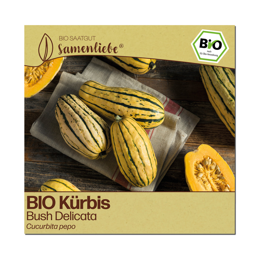 BIO Kürbis "Bush Delicata"