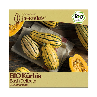 BIO Kürbis "Bush Delicata"