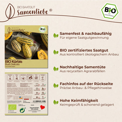 BIO Kürbis "Bush Delicata"