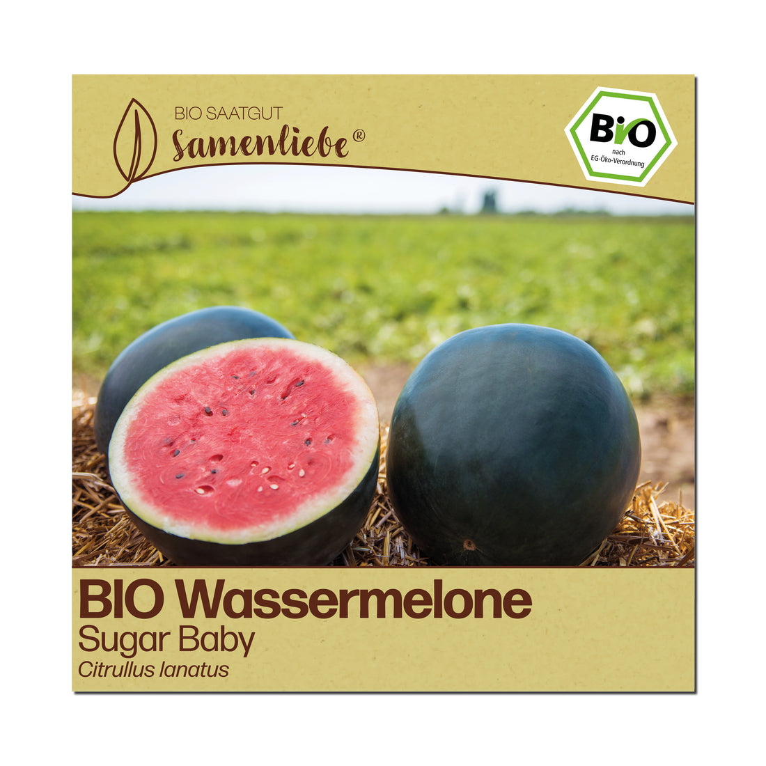 BIO Melone "Sugar Baby"
