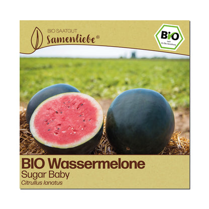 BIO Melone "Sugar Baby"