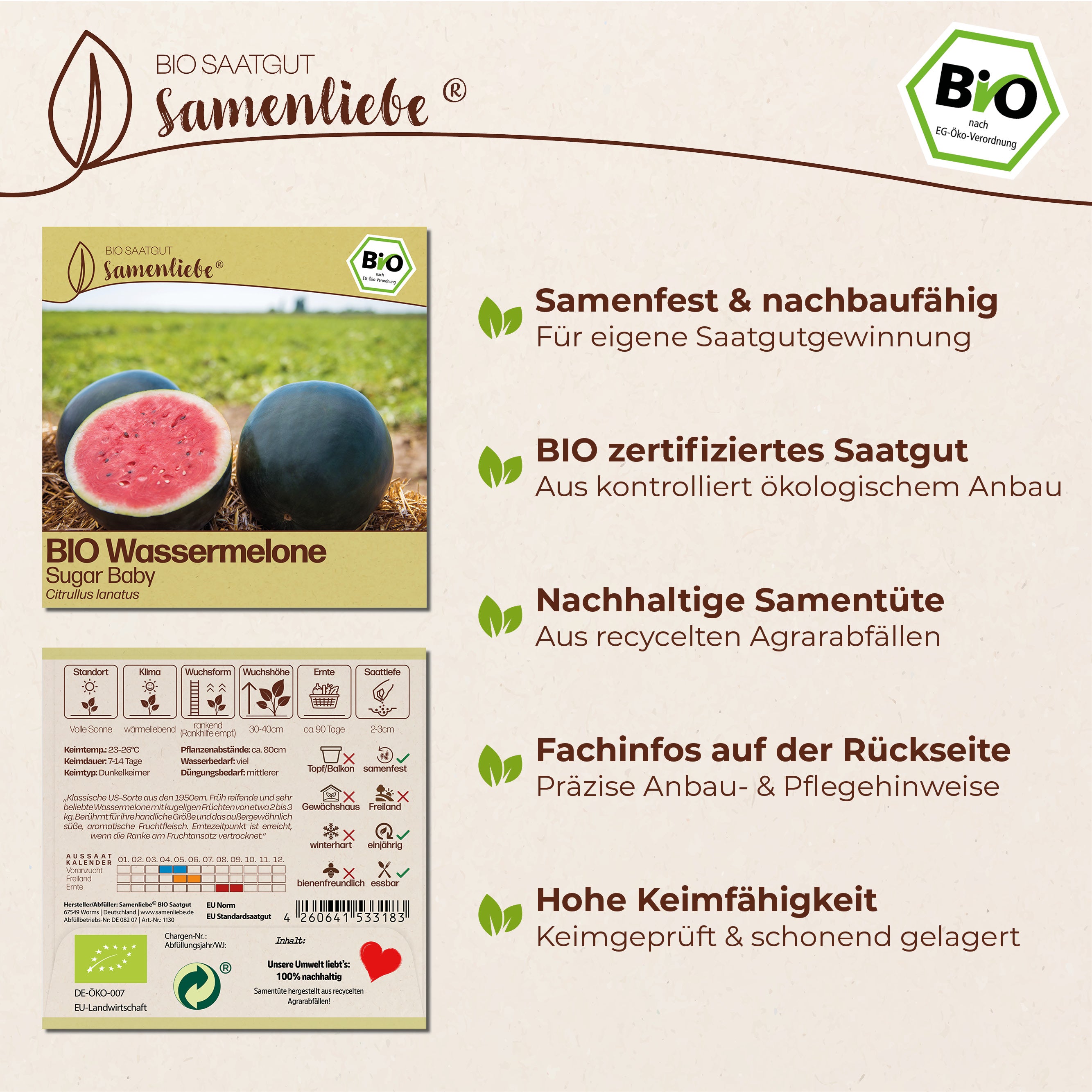 BIO Melone "Sugar Baby"