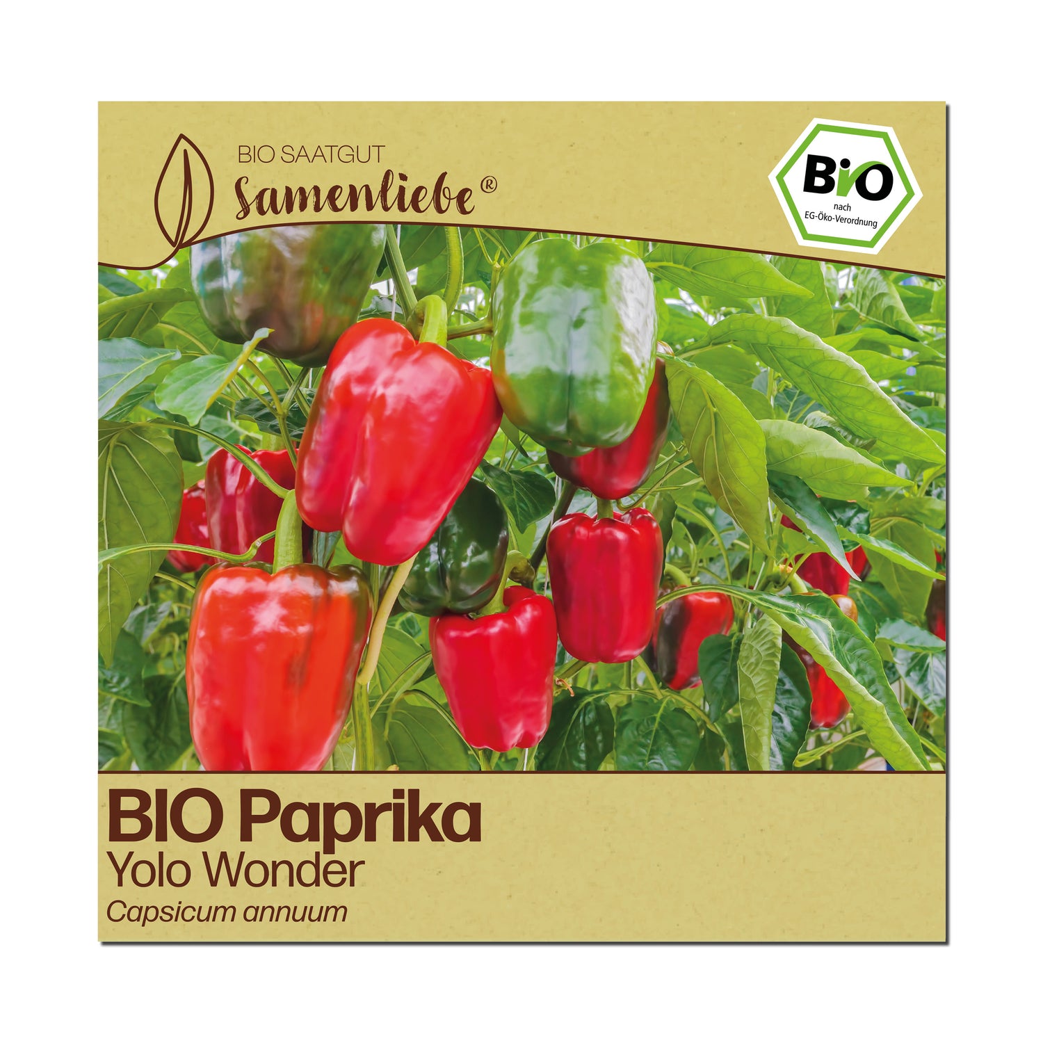 BIO Paprika "Yolo Wonder"