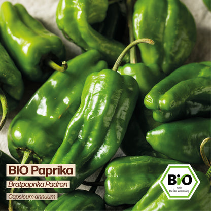 BIO Paprika "Padron"