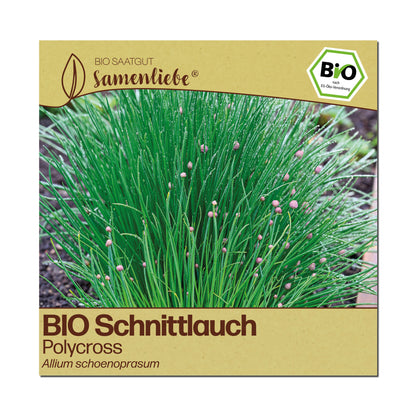 BIO Schnittlauch "Polycross"