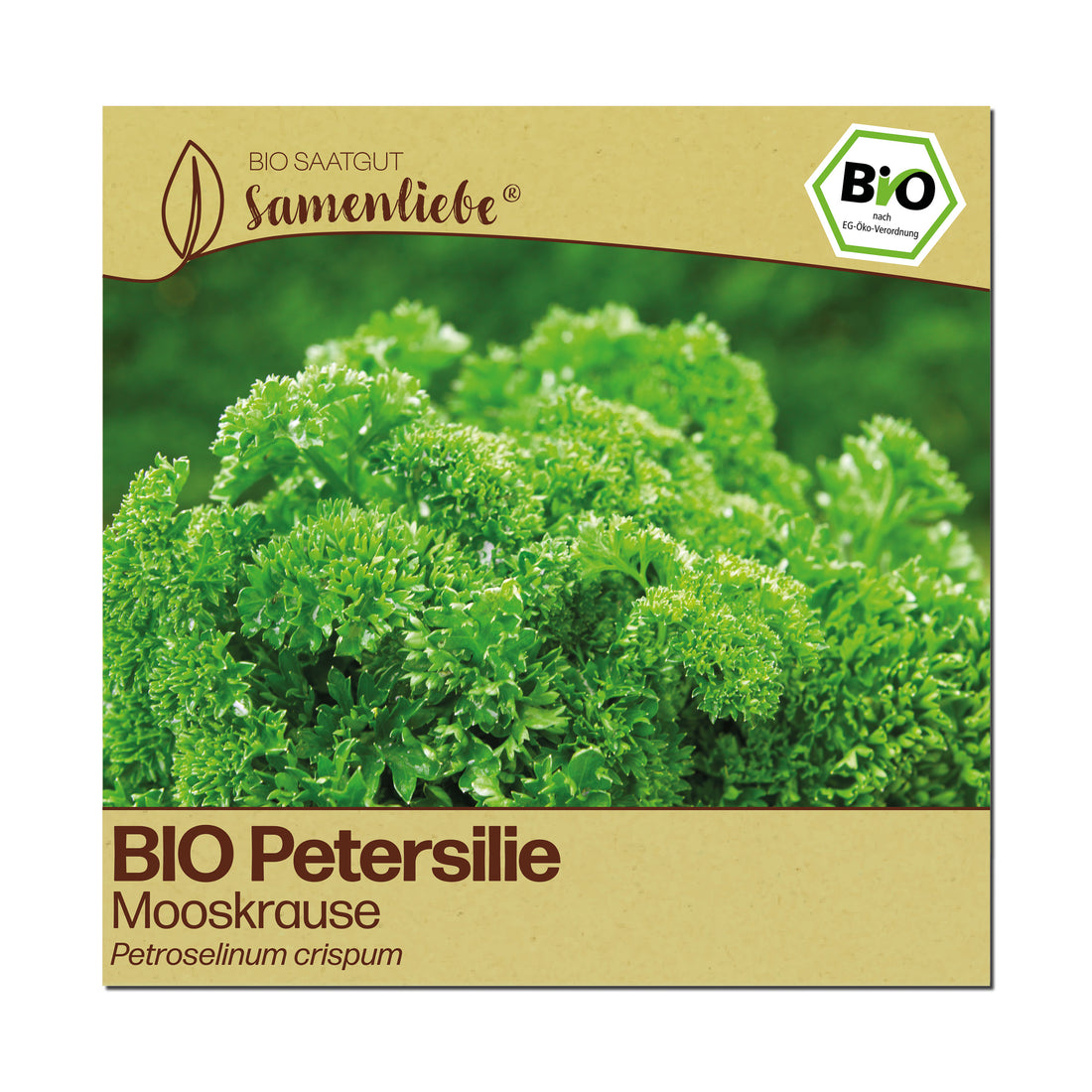 BIO Petersilie "Mooskrause"
