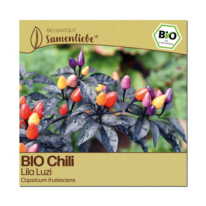 BIO Chili "Lila Luzi"