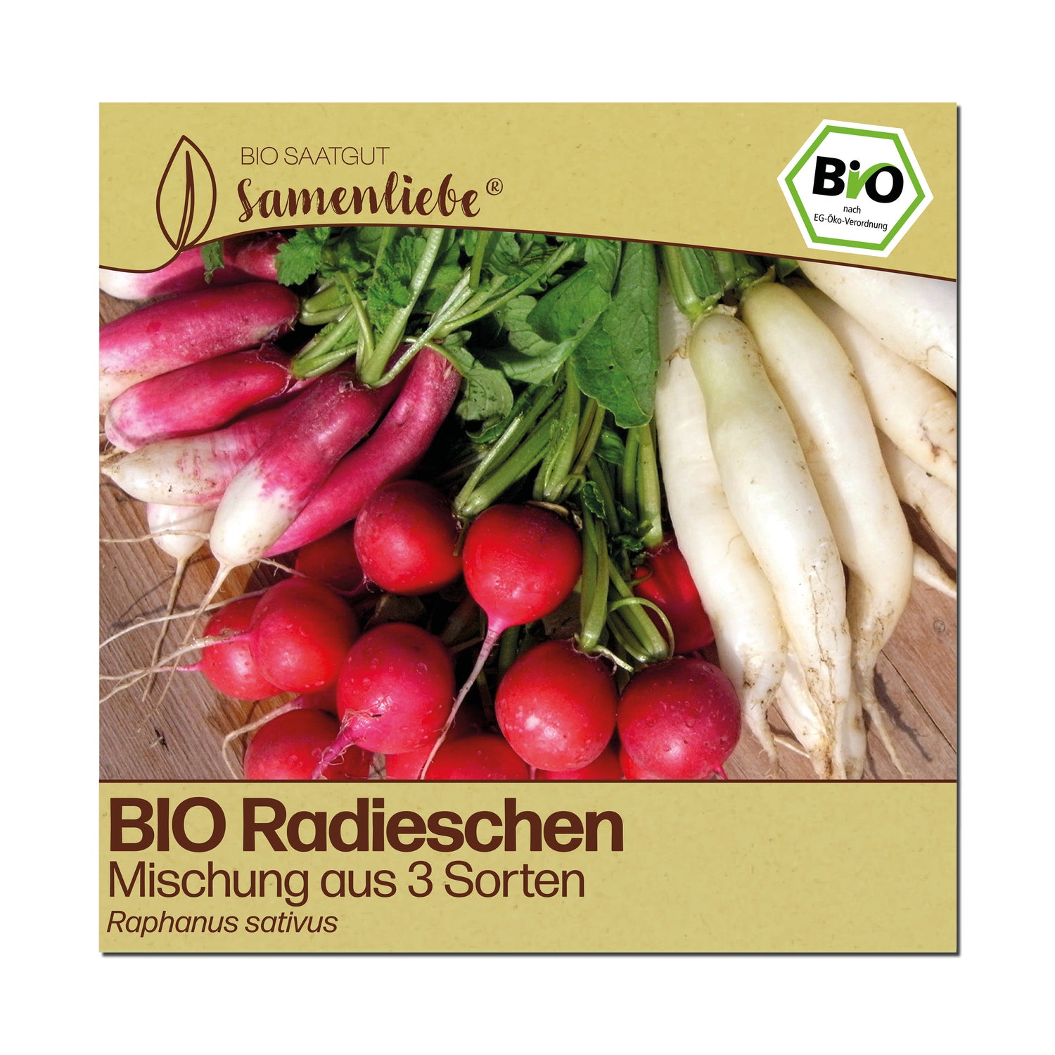 BIO Radieschen "Mischung aus 3 Sorten"