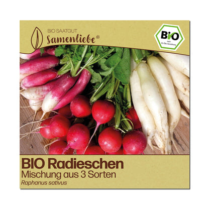 BIO Radieschen "Mischung aus 3 Sorten"