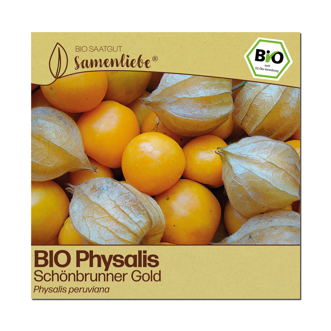 BIO Physalis "Schönbrunner Gold"