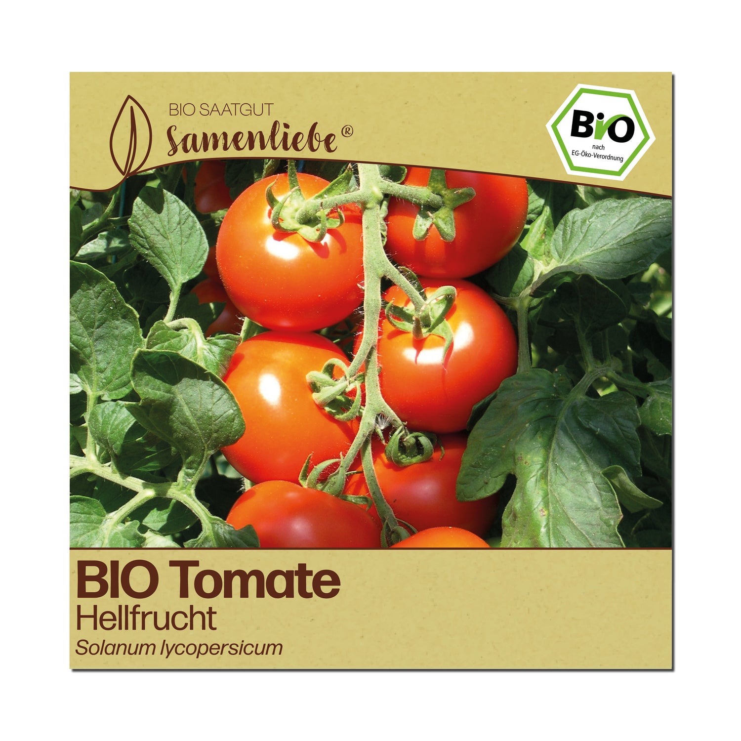 BIO Tomate "Hellfrucht"