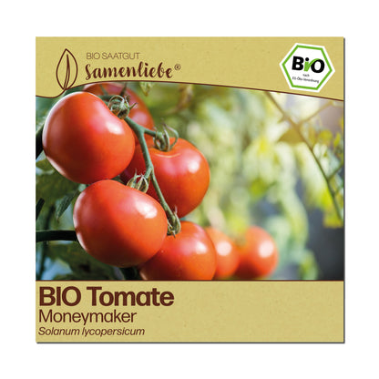 BIO Tomate "Moneymaker"