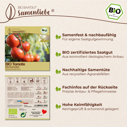 BIO Tomate "Moneymaker"