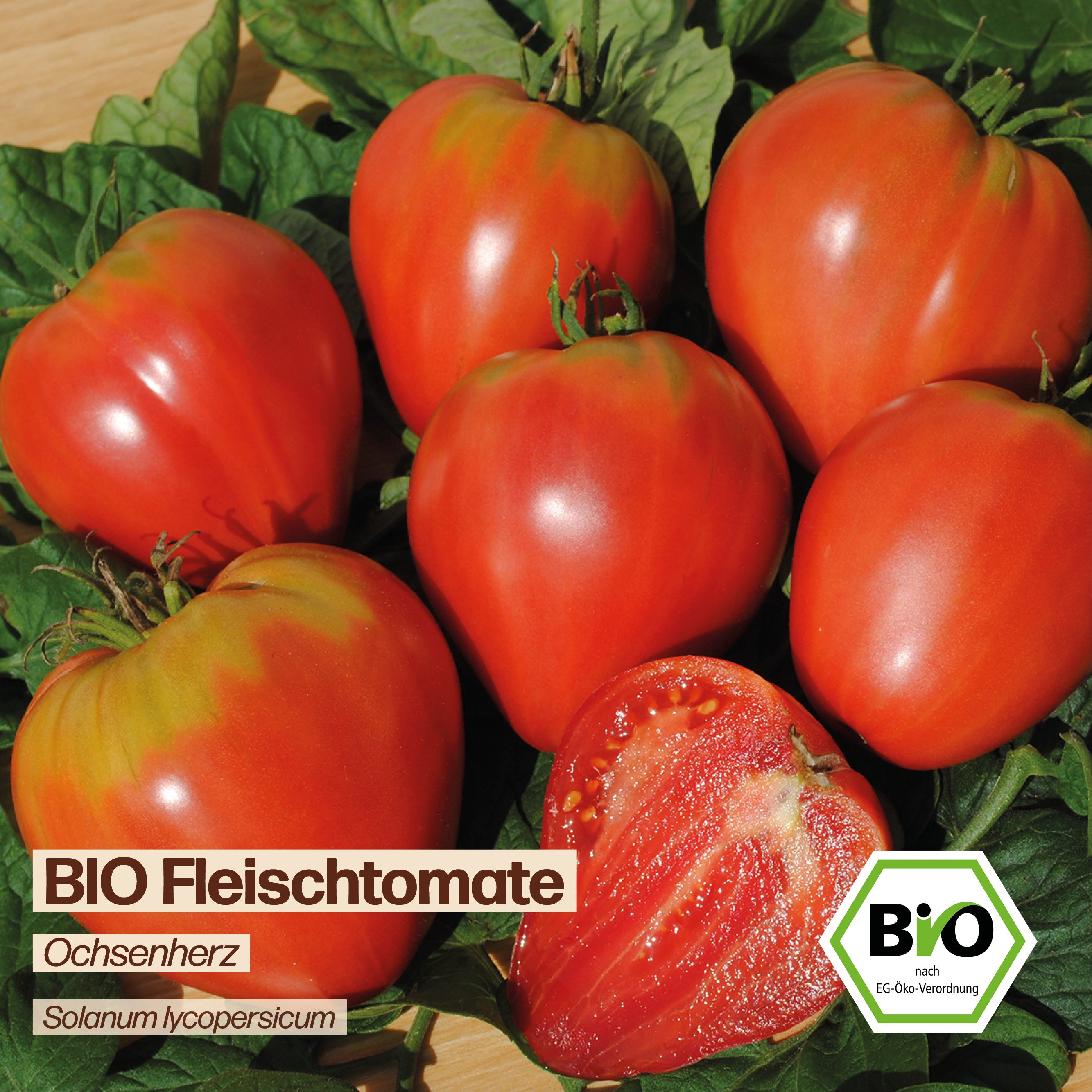 BIO Fleischtomate "Ochsenherz"