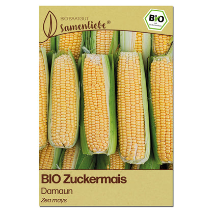 BIO Zuckermais "Damaun"