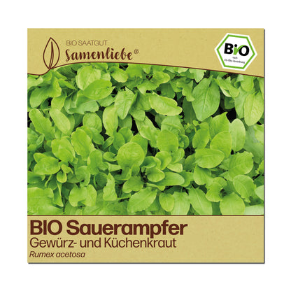 BIO Sauerampfer "Wildkraut"