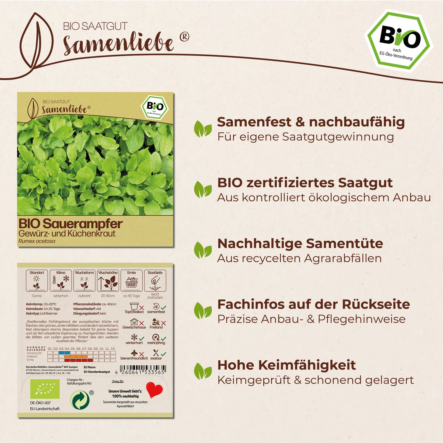 BIO Sauerampfer "Wildkraut"