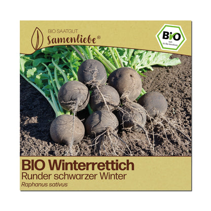 BIO Rettich "Runder schwarzer Winter"