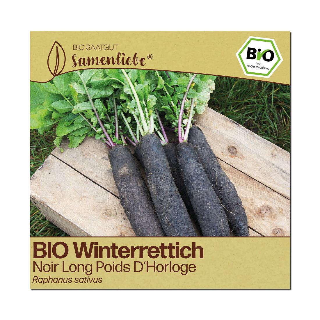 BIO Rettich "Noir Long Poids D&