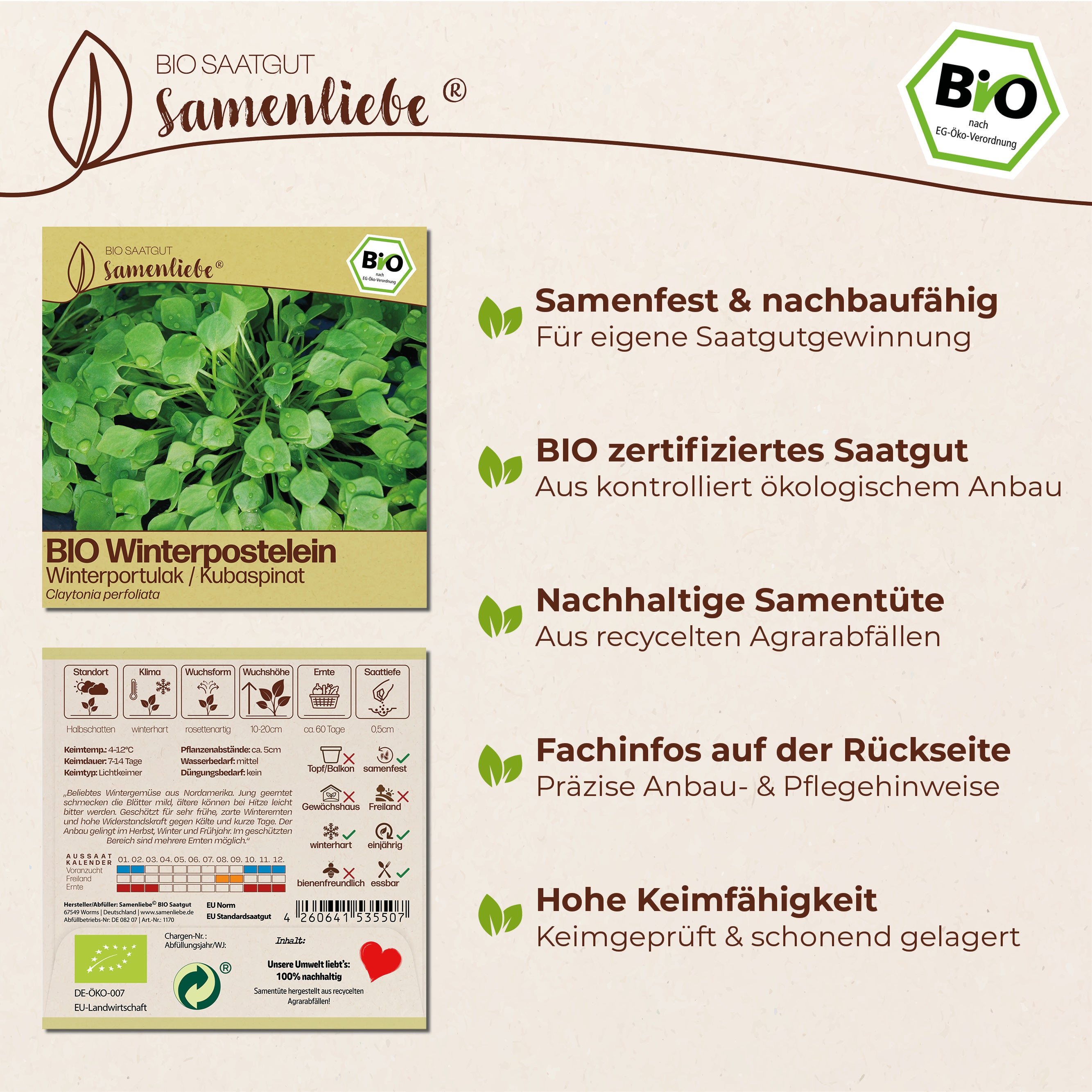 BIO Winterpostelein "Winterportulak Kubaspinat"