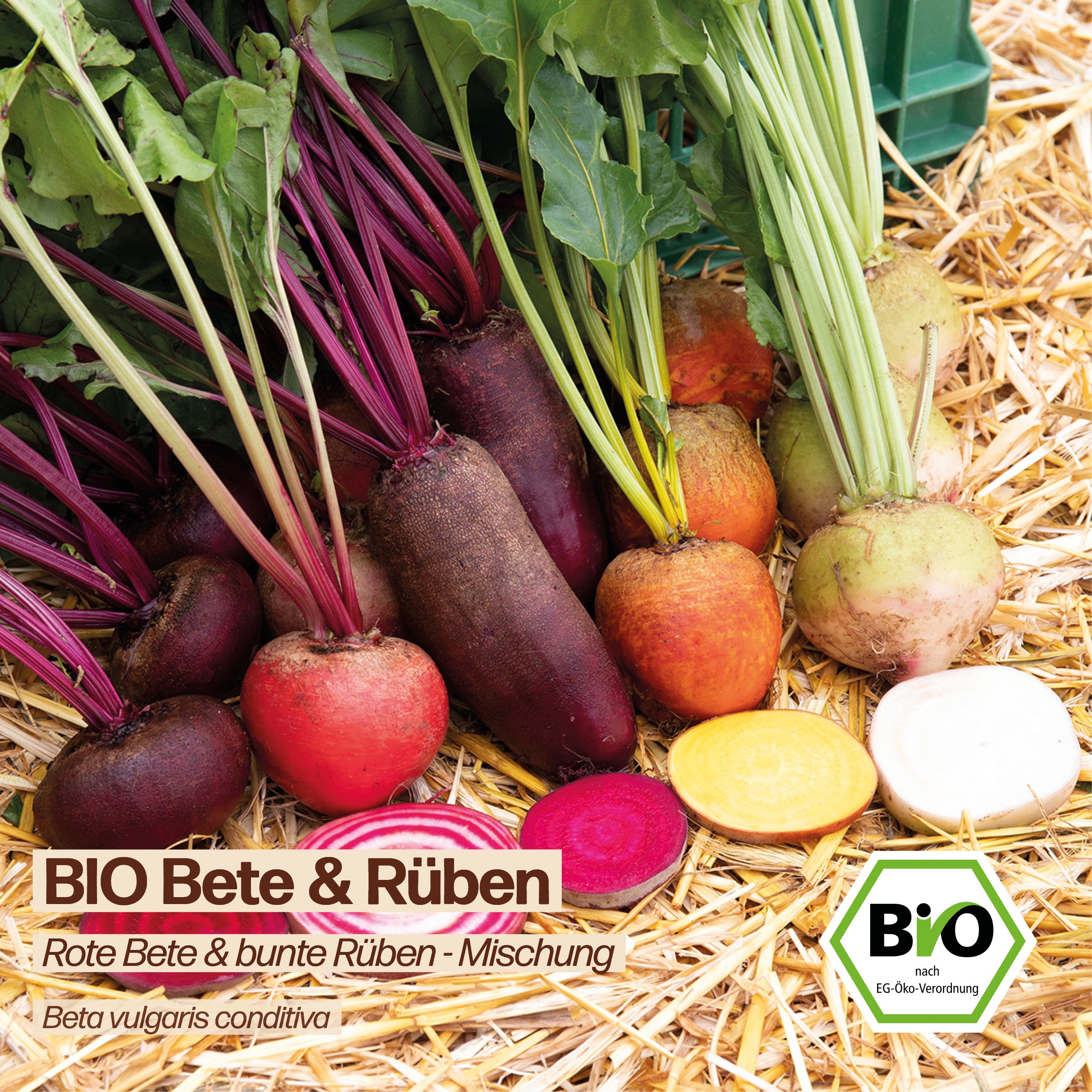 BIO Rote Bete "Rote Beete"
