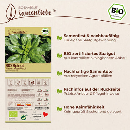 BIO Spinat "Winterriesen Verdil"