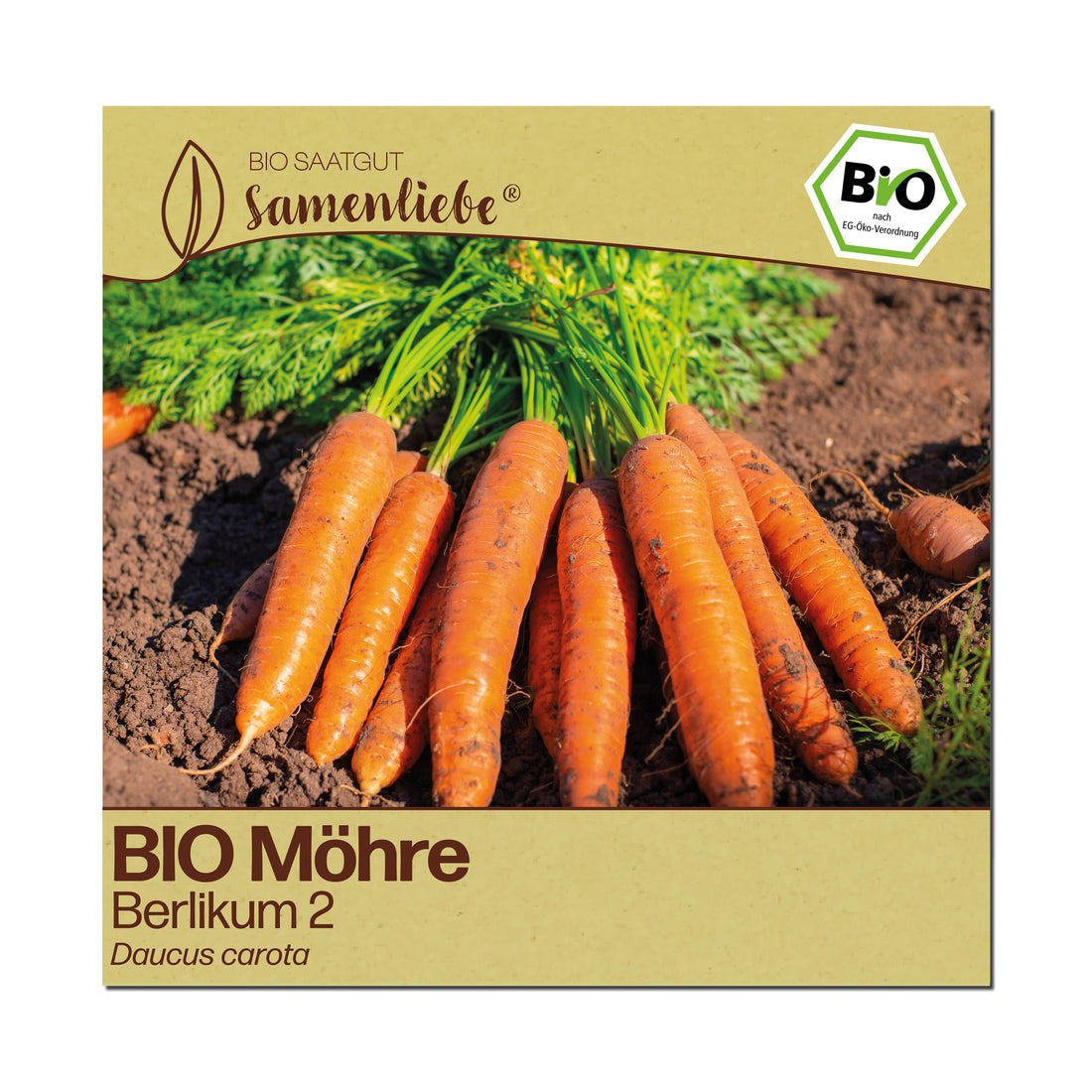 BIO Karotte "Berlikum 2"