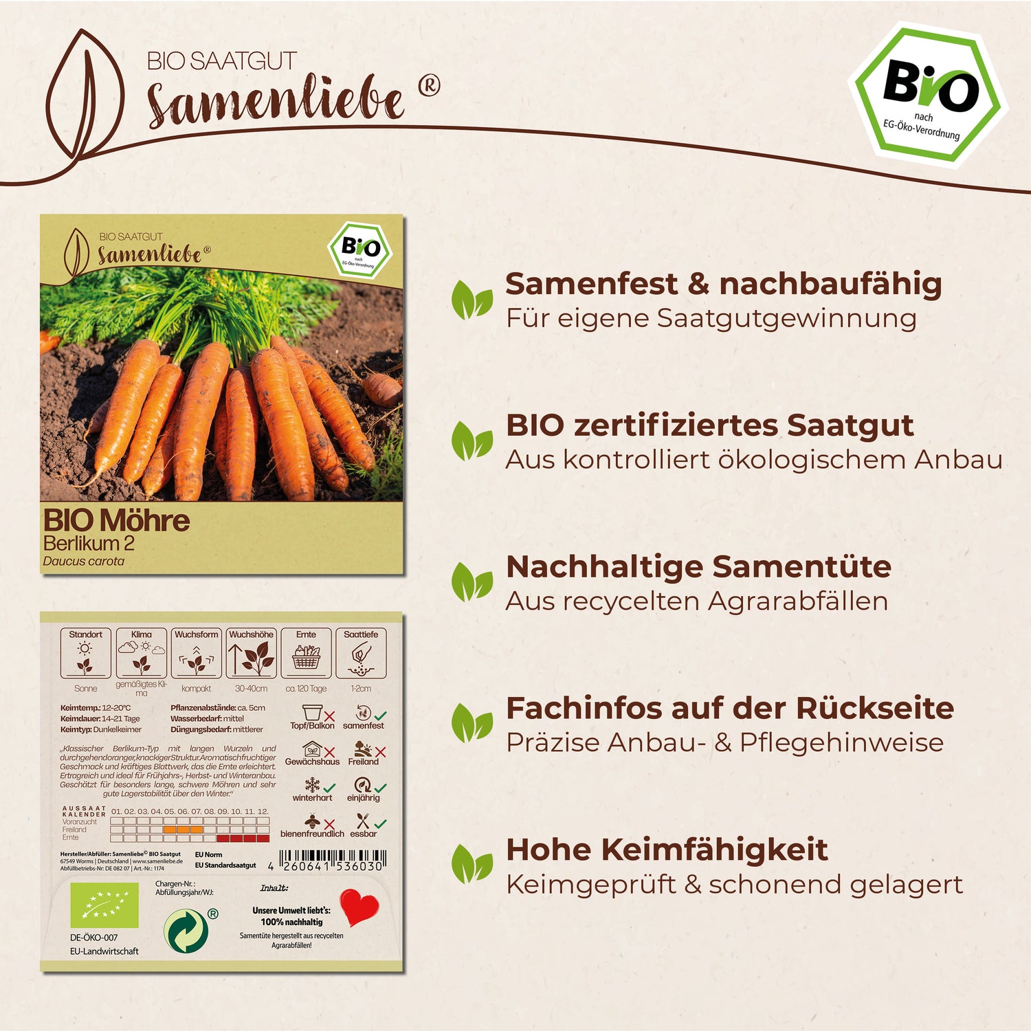 BIO Karotte "Berlikum 2"