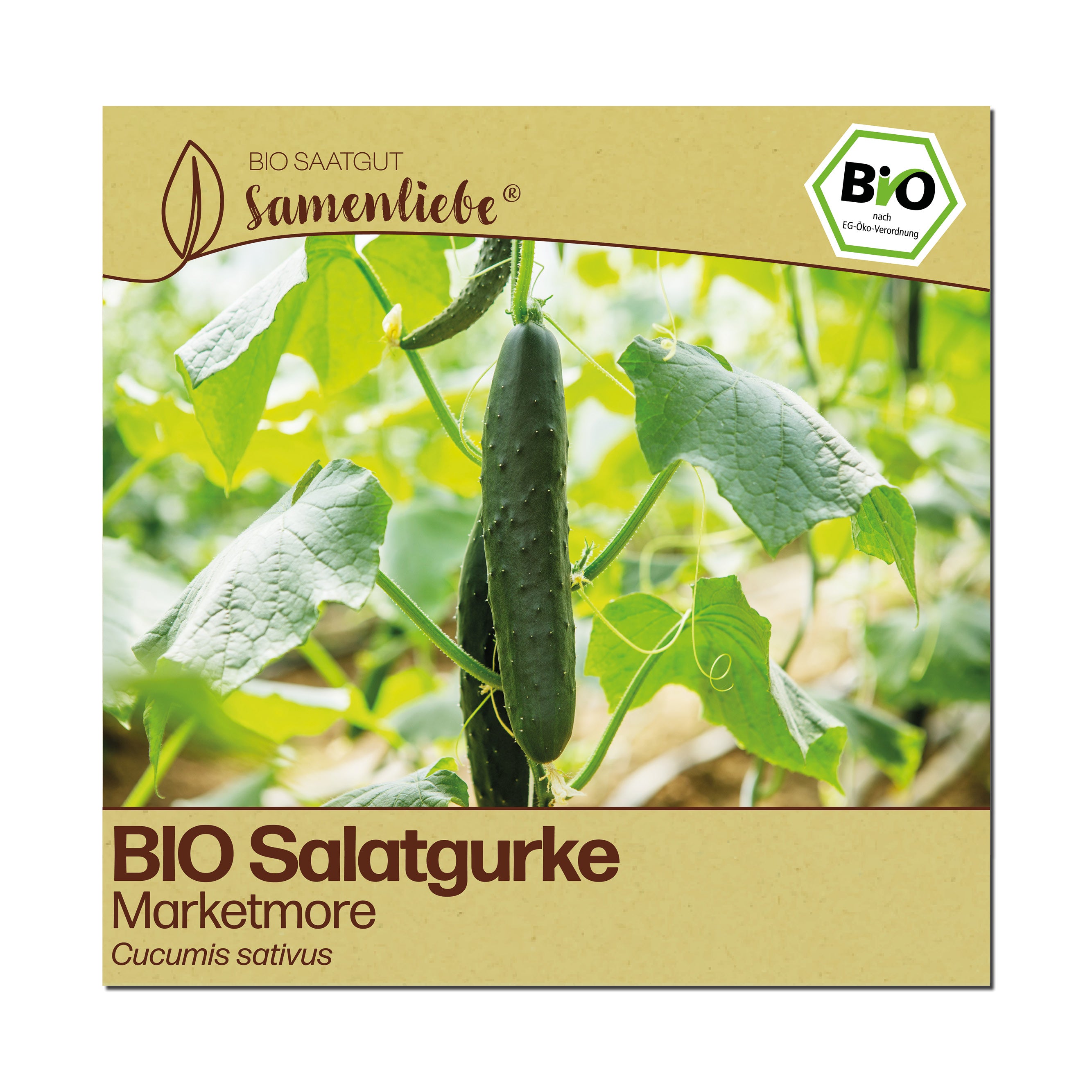 BIO Gurke "Marketmore"