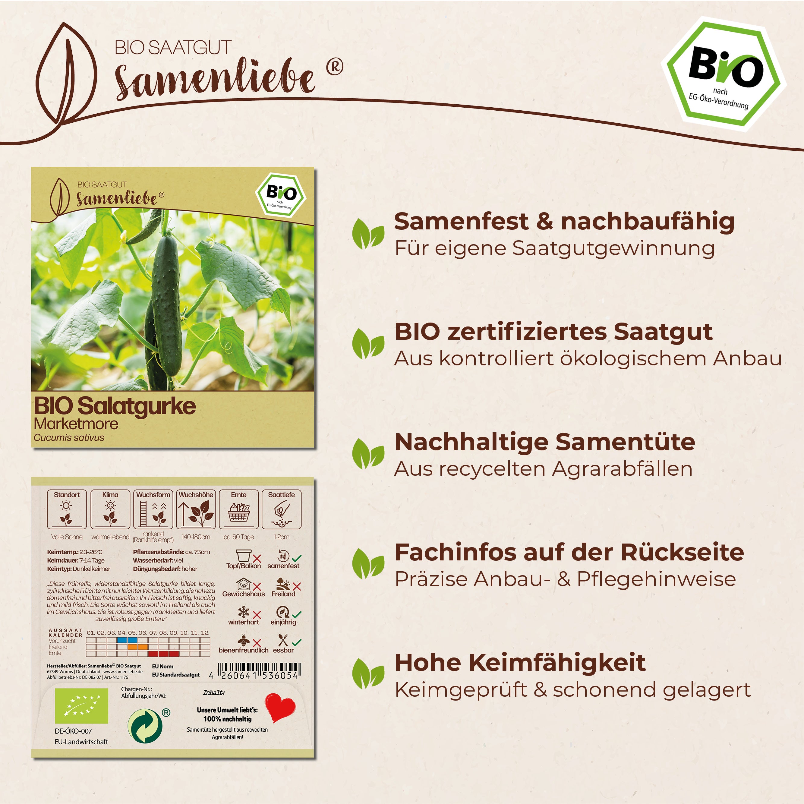 BIO Gurke "Marketmore"