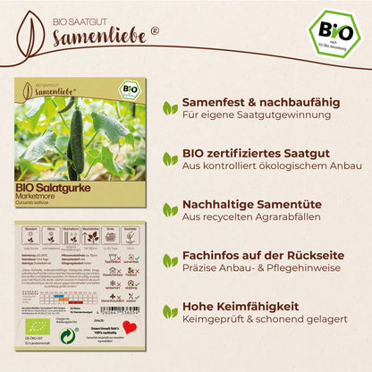 BIO Gurke "Marketmore"