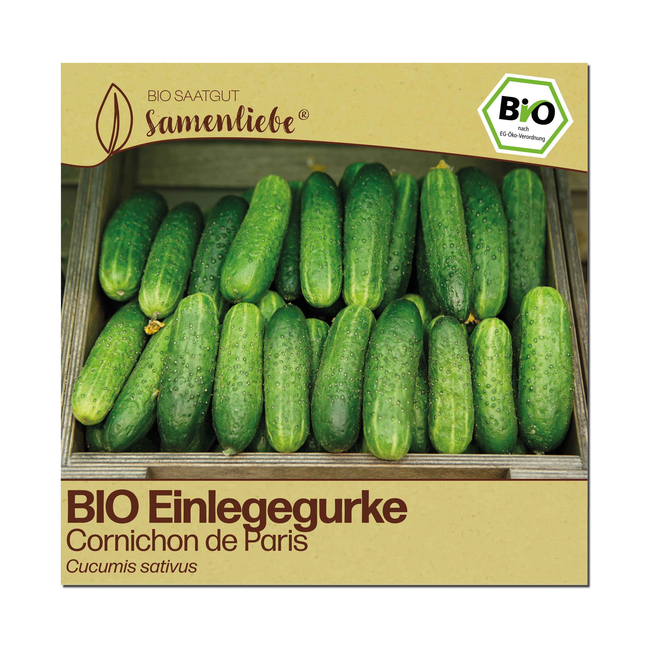 BIO Gurke "Cornichon de Paris"
