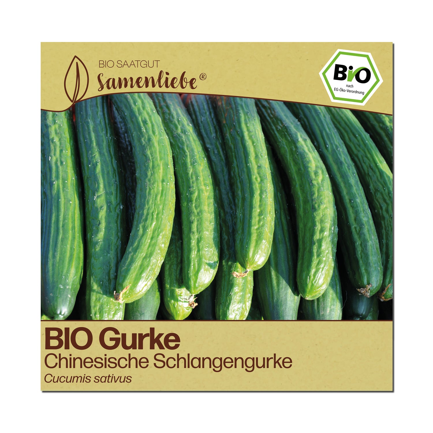 BIO Gurke "Chinesische Schlangengurke"