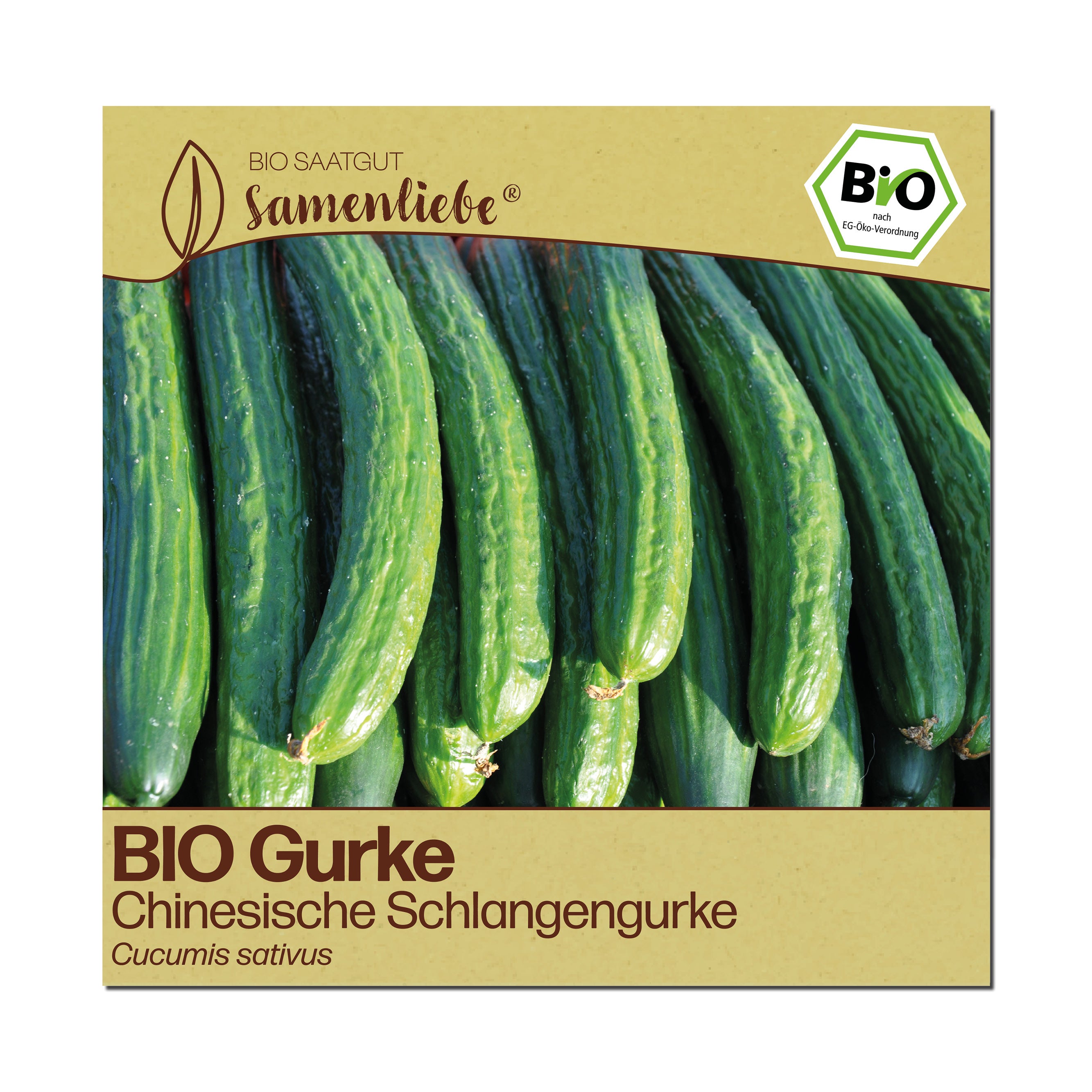 BIO Gurke "Chinesische Schlangengurke"
