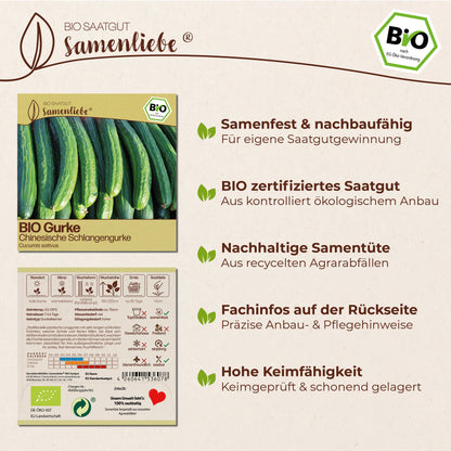 BIO Gurke "Chinesische Schlangengurke"